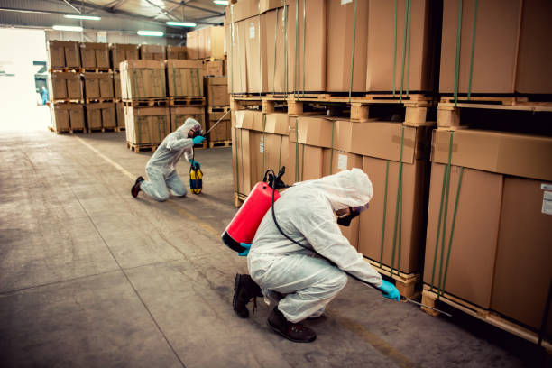 Best Emergency Pest Control  in East Shoreham, NY