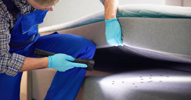 Best Best Pest Control Companies  in East Shoreham, NY
