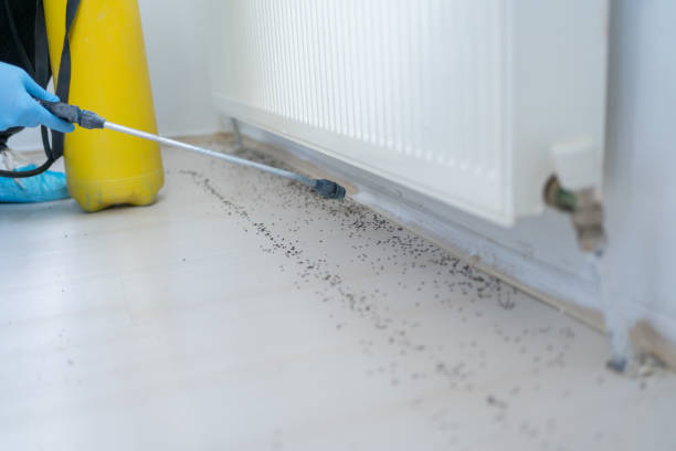 Best Best Pest Control Companies  in East Shoreham, NY