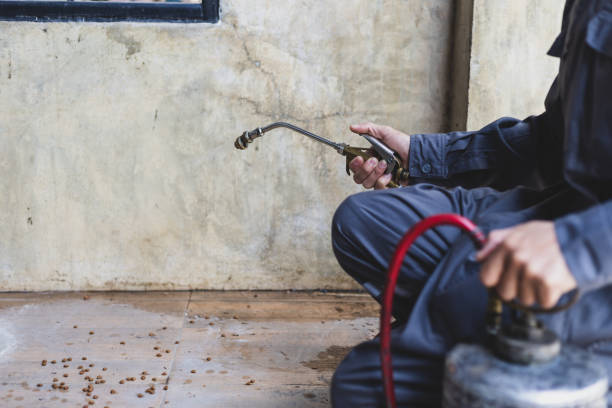 Best Local Pest Control Services  in East Shoreham, NY